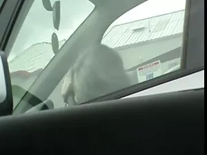 ブロンドta エロ 動画 女 同士 Bo ...