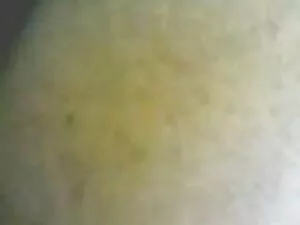 恋人の手はほとんど肘に腰に入ります アダ ...
