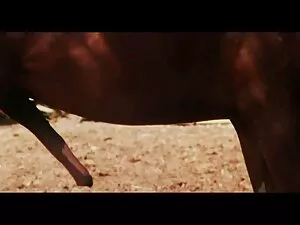 ビールとベッド 無料 無 修正 動画 女 ...